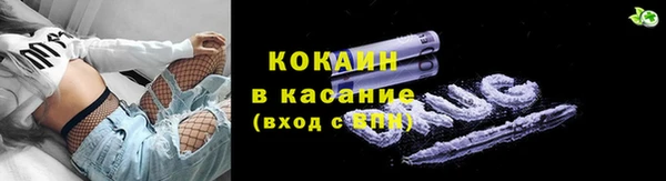 мдпв Протвино