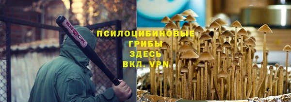 мдпв Протвино