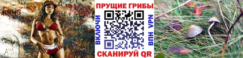 дарнет шоп  Сосновоборск  Галлюциногенные грибы мицелий 
