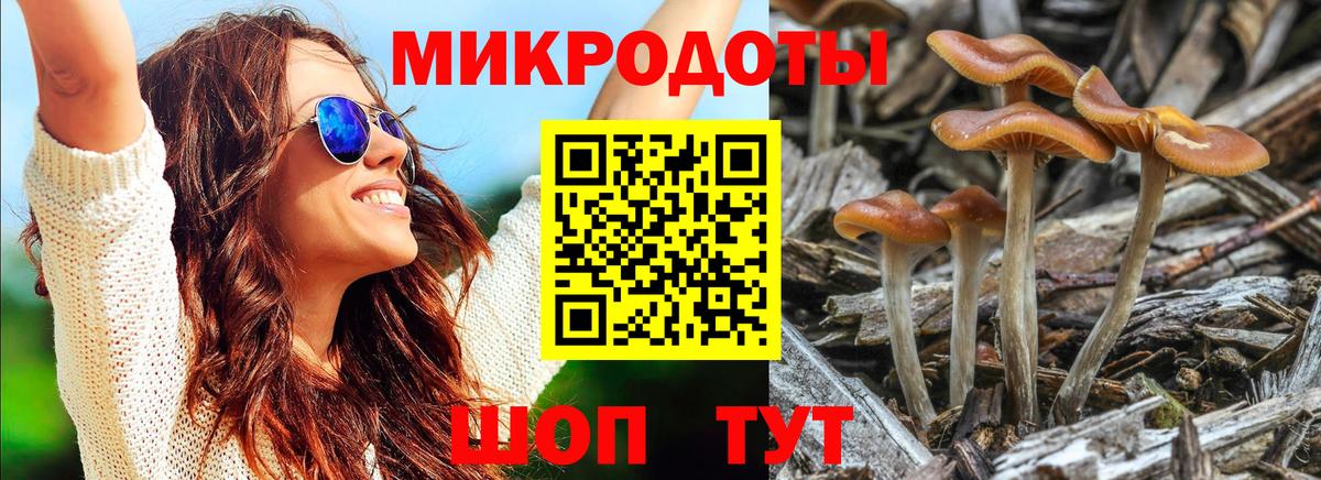 Сосновоборск  Галлюциногенные грибы Psilocybe  Галлюциногенные грибы Psilocybine cubensis  Вход с VPN 