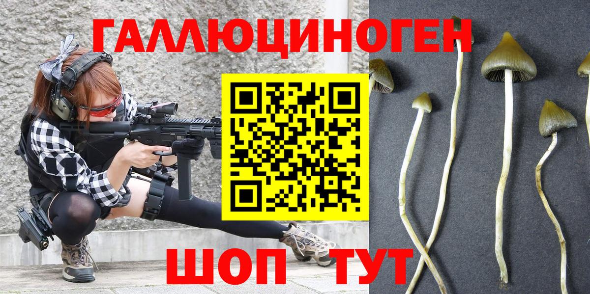 Галлюциногенные грибы MAGIC MUSHROOMS  Сосновоборск  Псилоцибиновые грибы Psilocybe 